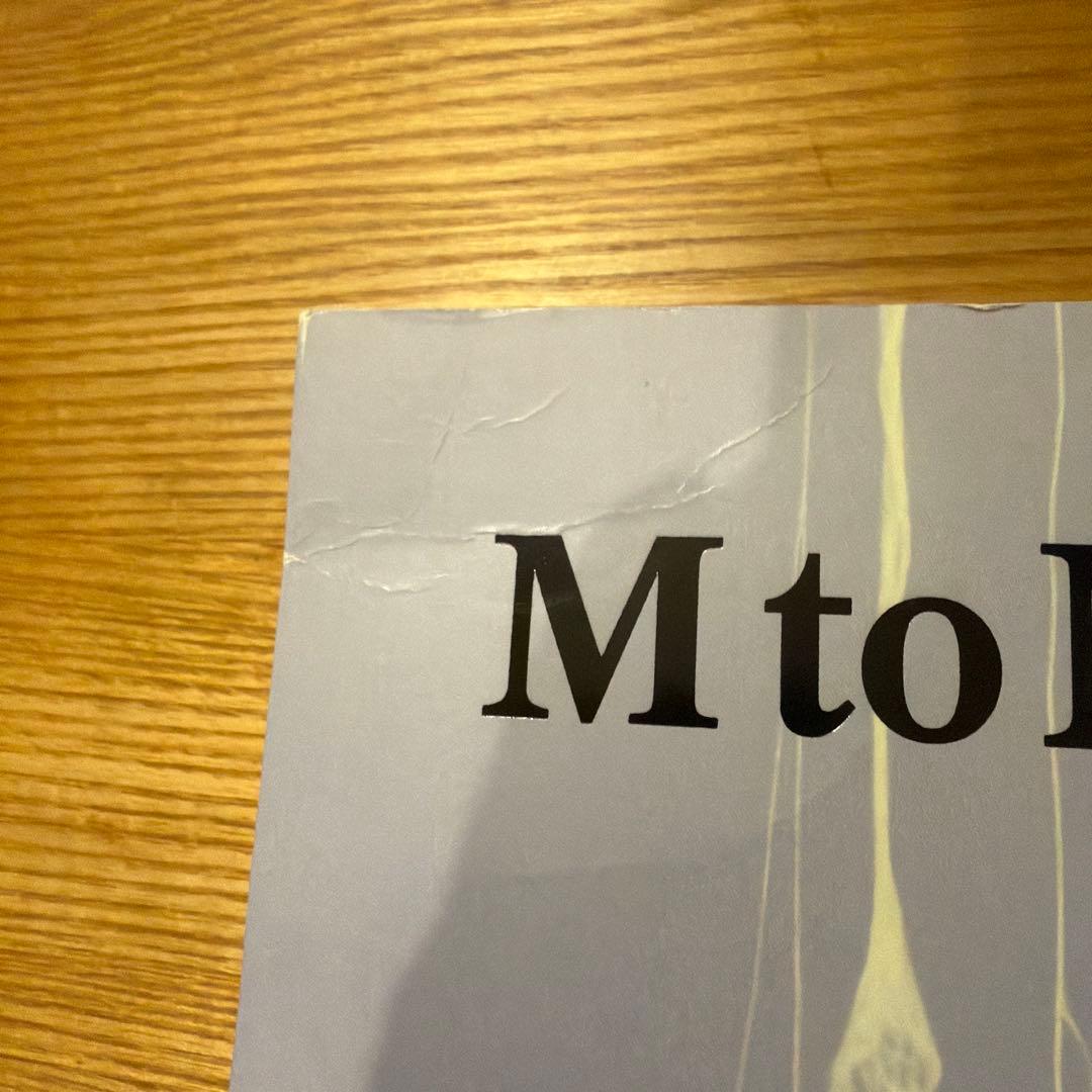 アート・デザイン・音楽 M to M of M/M (Paris) Volume I