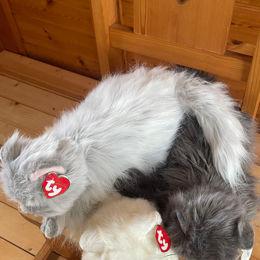 tyビーニーベイビーズ ネコぬいぐるみ　ペルシャ猫