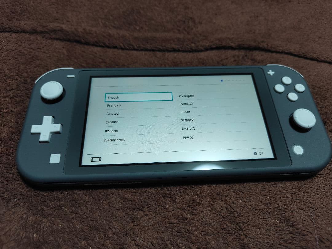 Nintendo Switch Lite グレー 2025