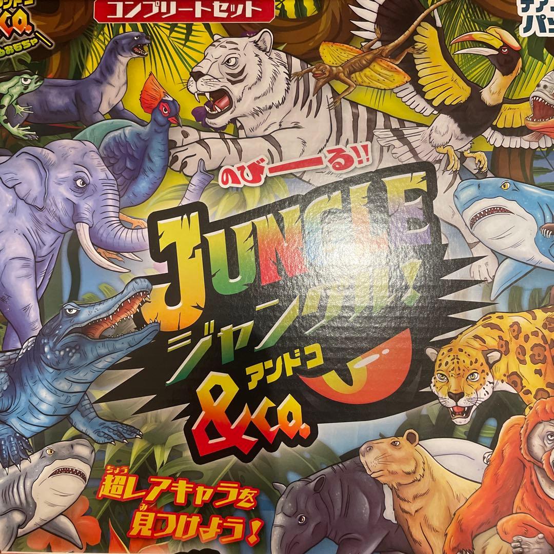 り*ん様 JUNGLE & Co. コンプリートセット　新品　ジャングル