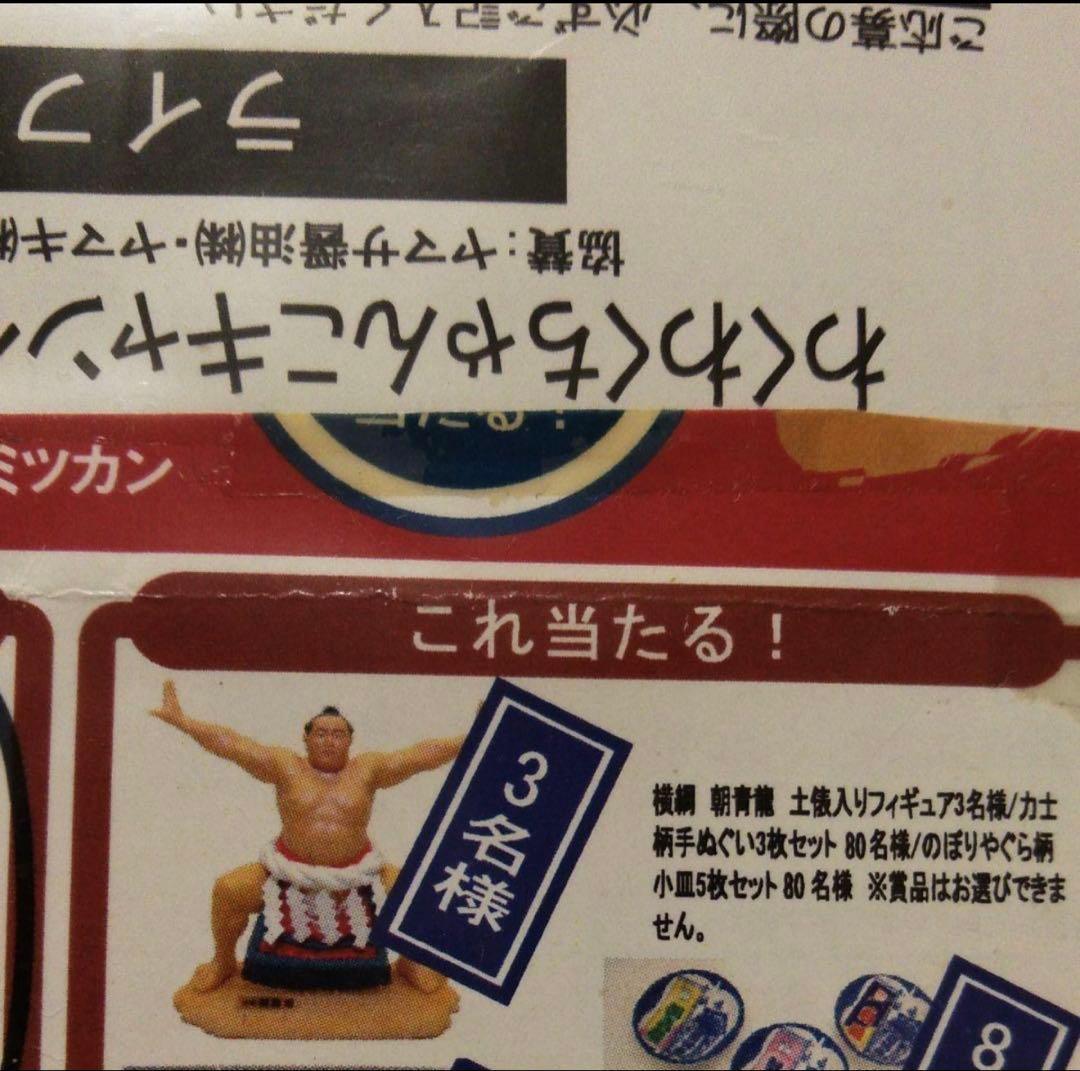 当選品　朝青龍　フィギュア