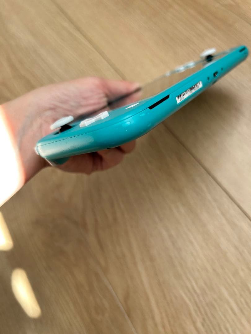 Switchライト ターコイズ ケース付き