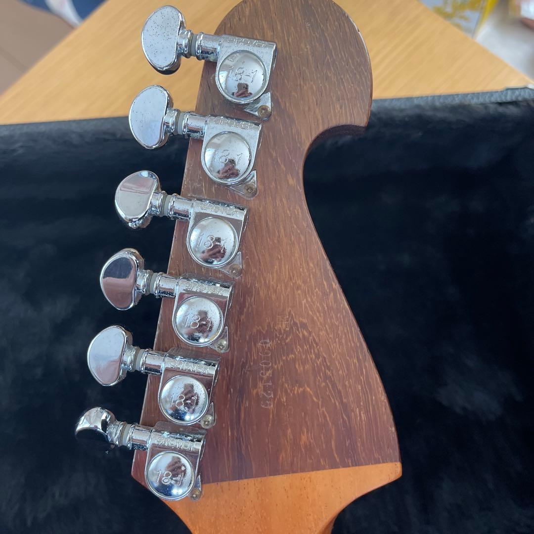 WASHBURN N4 パドゥーク