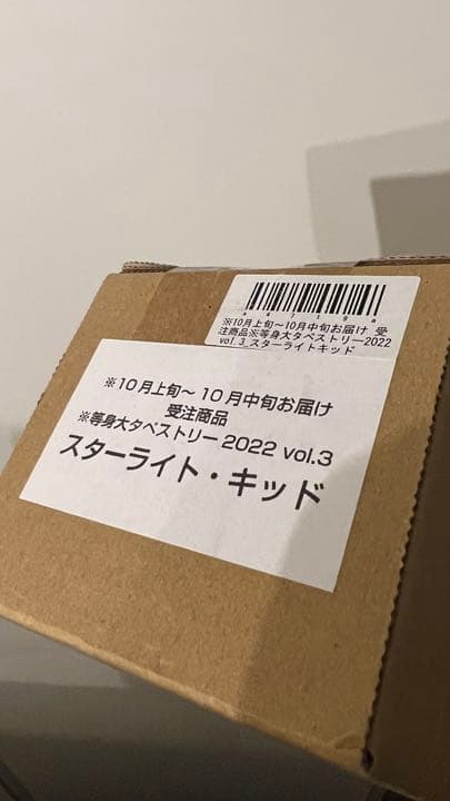 スターライト・キッド　等身大タペストリー　新品未開封　STARDOMスターダム