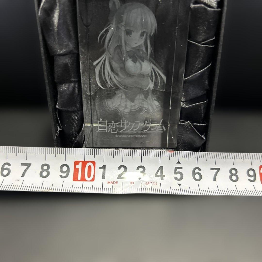 白恋サクラ＊グラム 3Dクリスタル ライトステージ付