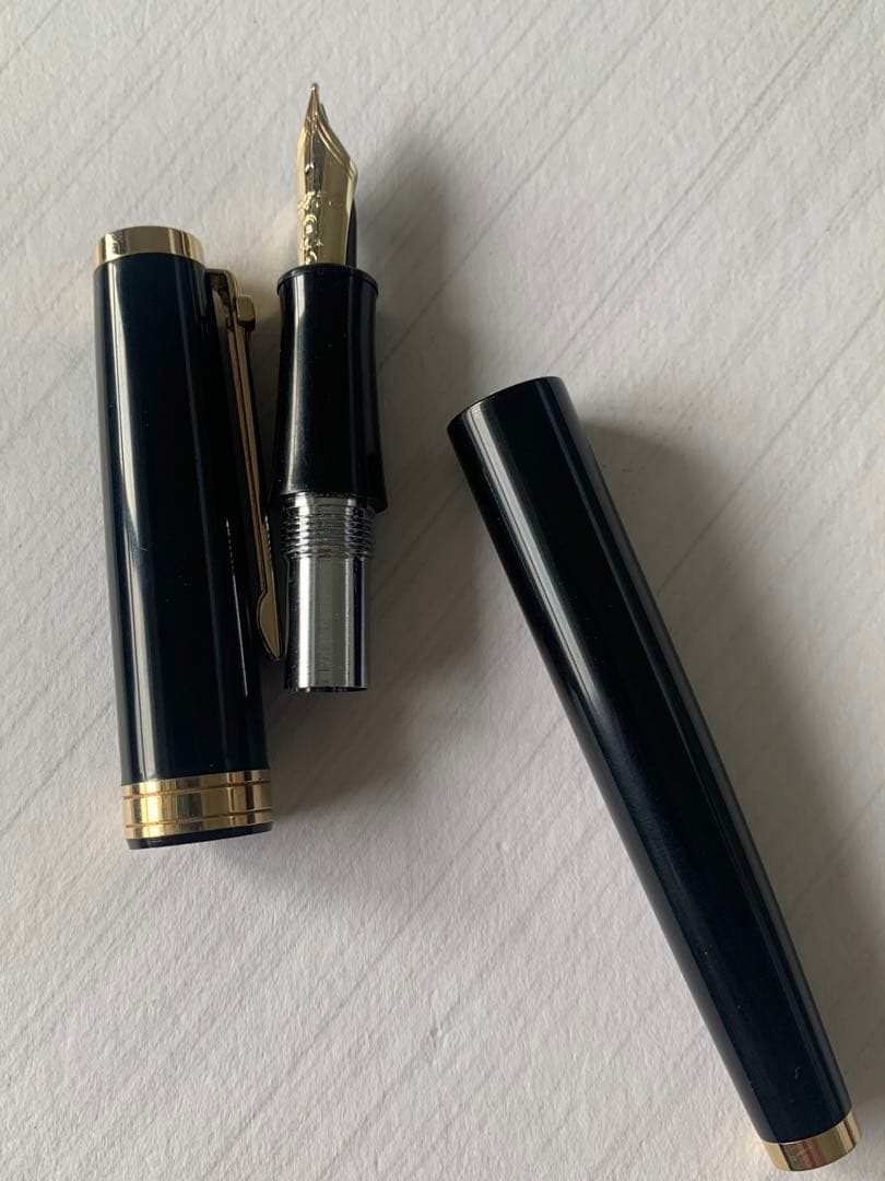 PLATINUM 3776 万年筆 14Kペン先 希少モデル