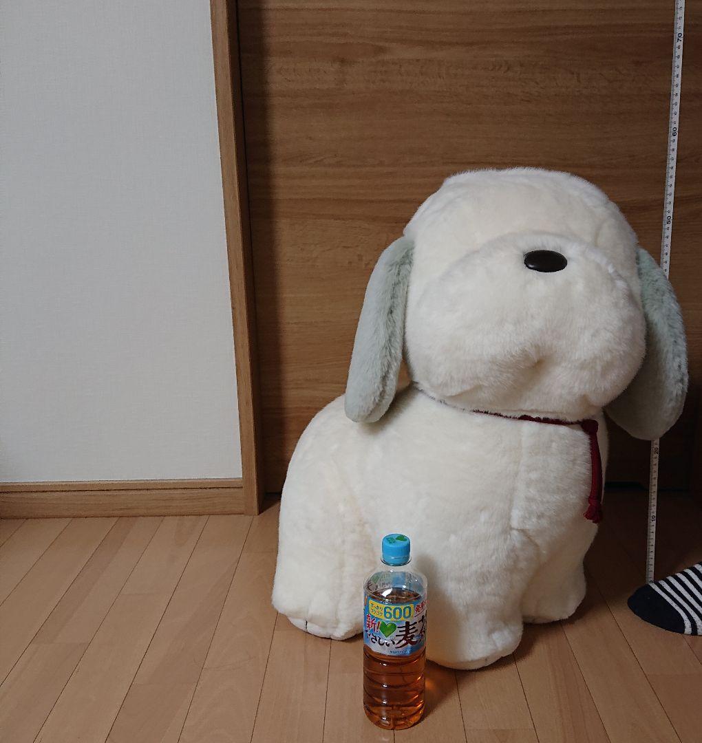 うめ吉 約58cm