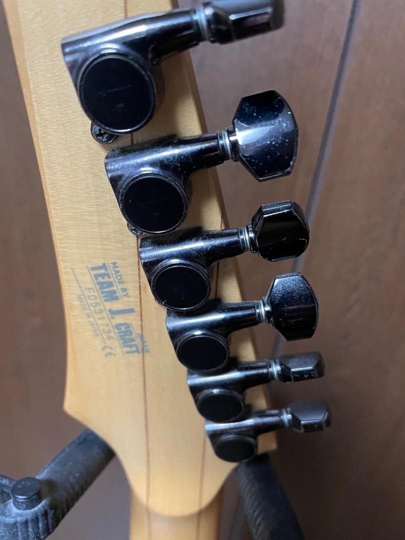 ギター Ibanez / J-Custom RG8270F-DR