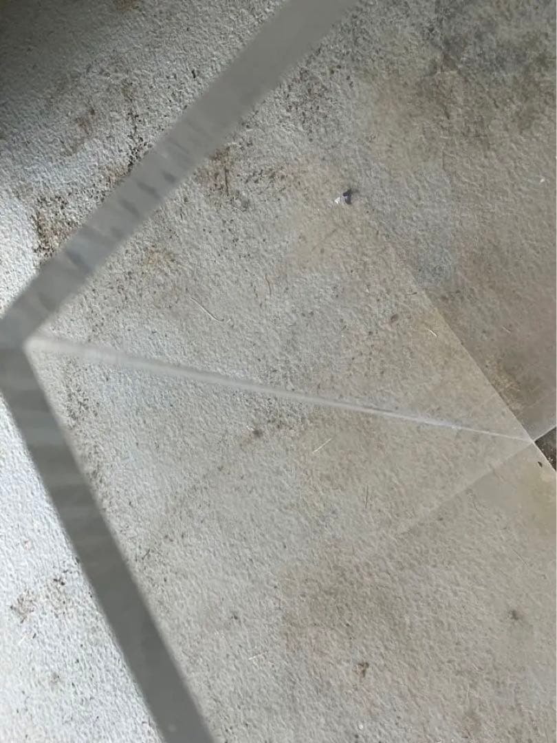 最終値❗️清掃済みアクリル　ケース　大型　水槽