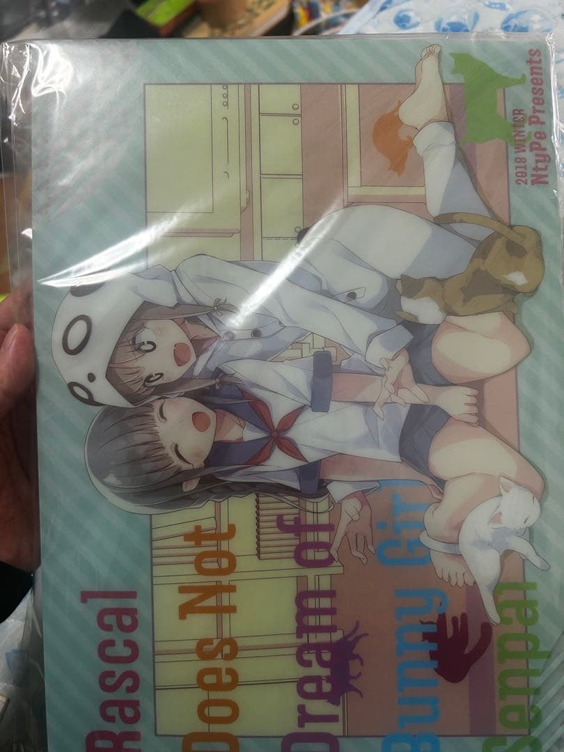 Ntype C95 新刊セット　青春ブタ野郎シリーズ