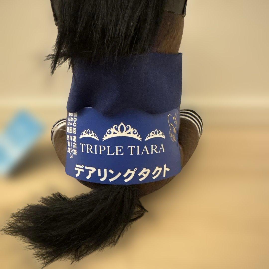 アイドルホース　デアリングタクト