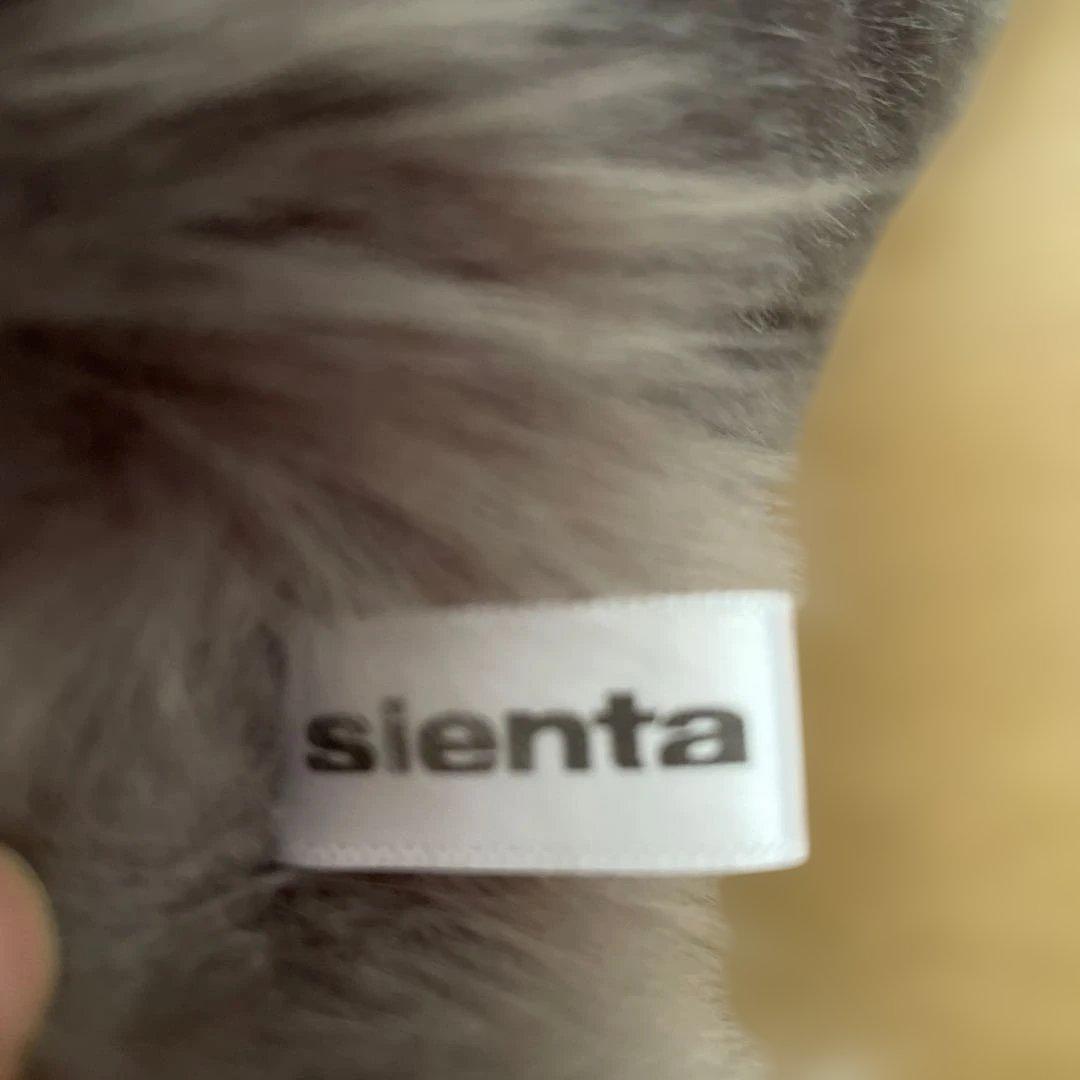 TOYOTA シエンタ犬