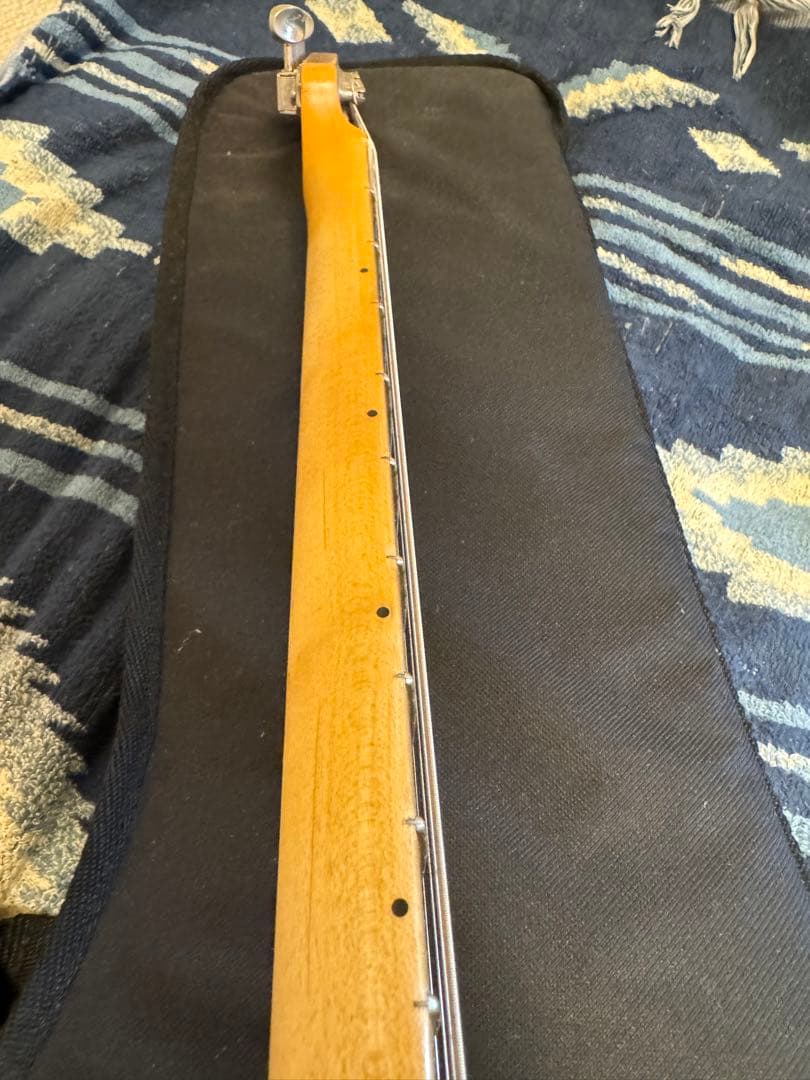 ギター Fender Mexico Road Worn '50s Telecaster
