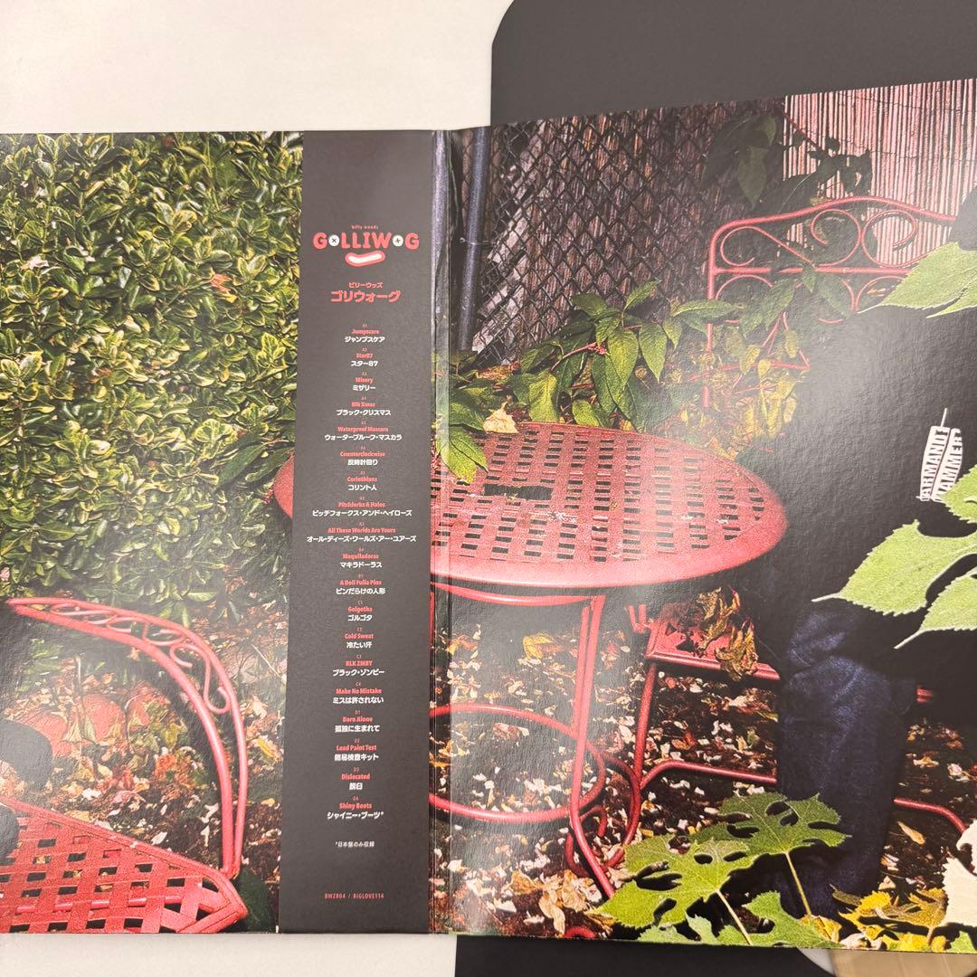billy woods GOLLIWOG vinyl record ビリーウッズ