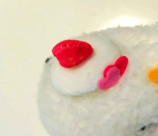 【希少！】こぎみゅん なりきりバースデーケーキマスコット