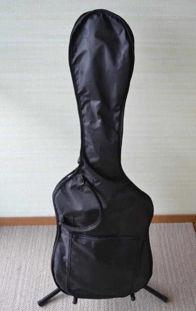 BUSKER'S BSE-3TS エレキギター ソフトケース付き