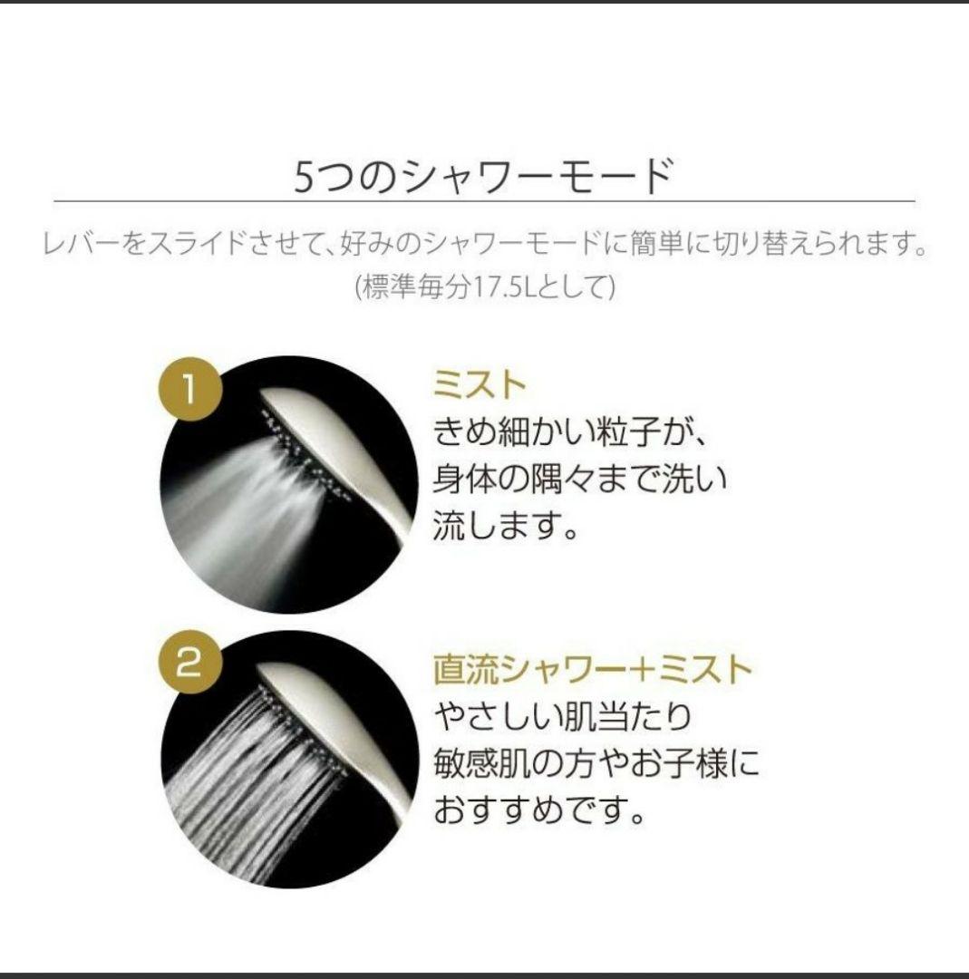 クレイツイオン　ハンディミストシャワー 　IO霧 イオム
