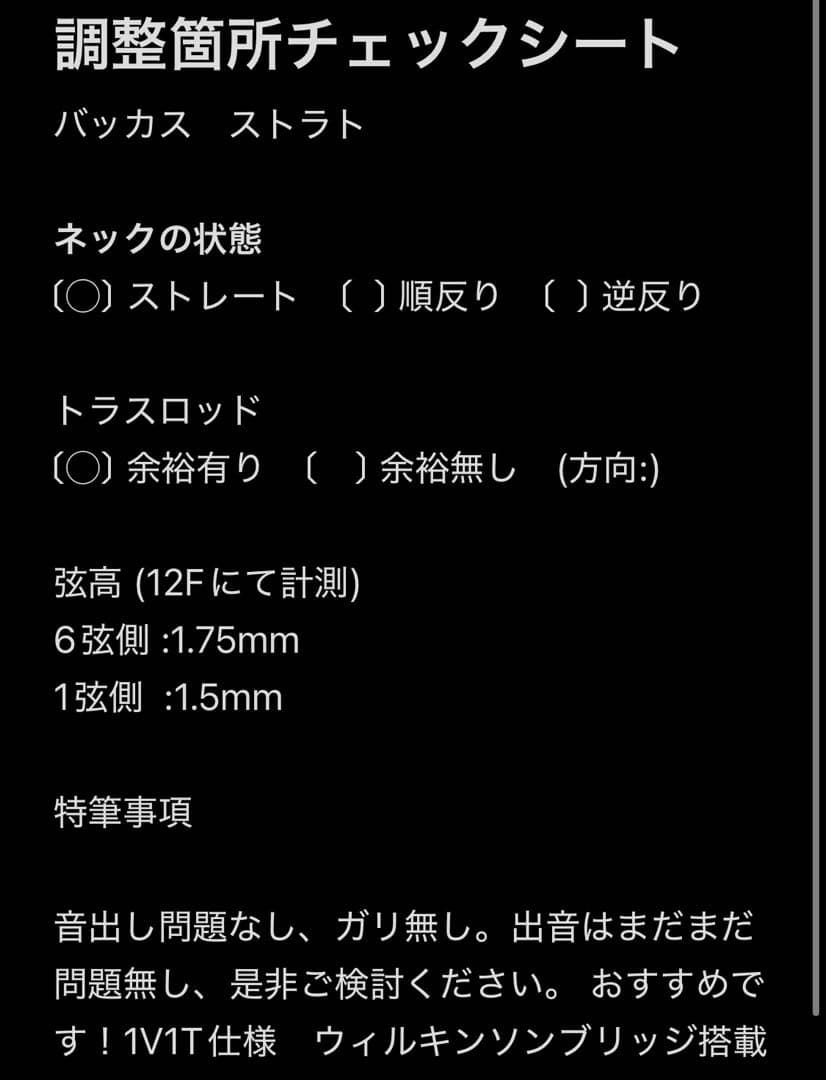 【調整済】Bacchus RSM バッカス　ストラト　エレキギター　やや美品