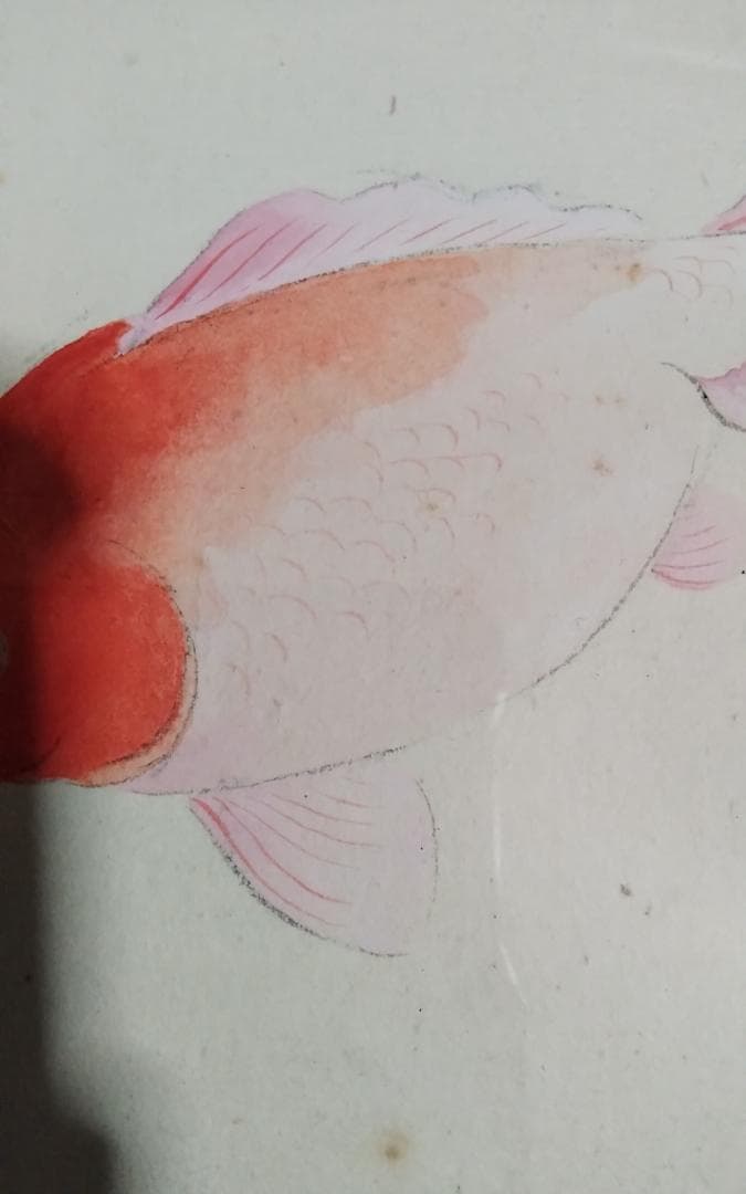 模写　作者不明　速水御舟　金魚　日本画巨匠最終値下げ