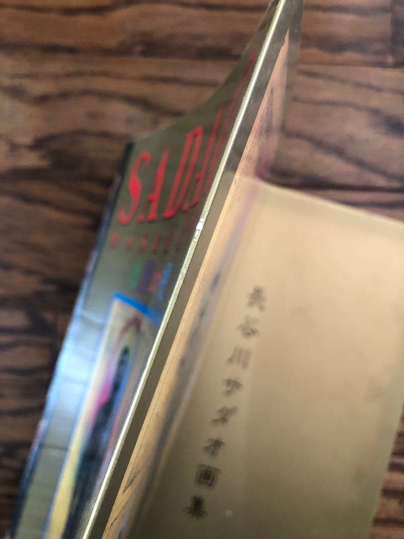 B*)様 長谷川サダオ　画集 楽園幻視　Sadao Hasegawa