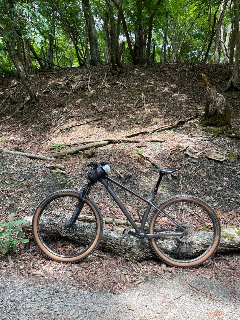 Specialized Fuse Comp 29 マウンテンバイク L