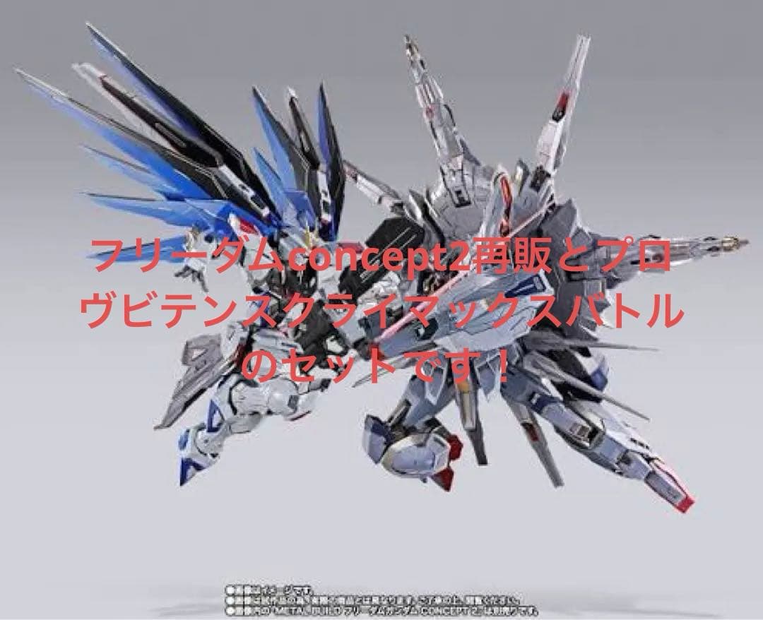 【12日まで限定値下】メタルビルドプロヴィデンスCBVer.&フリーダムセット