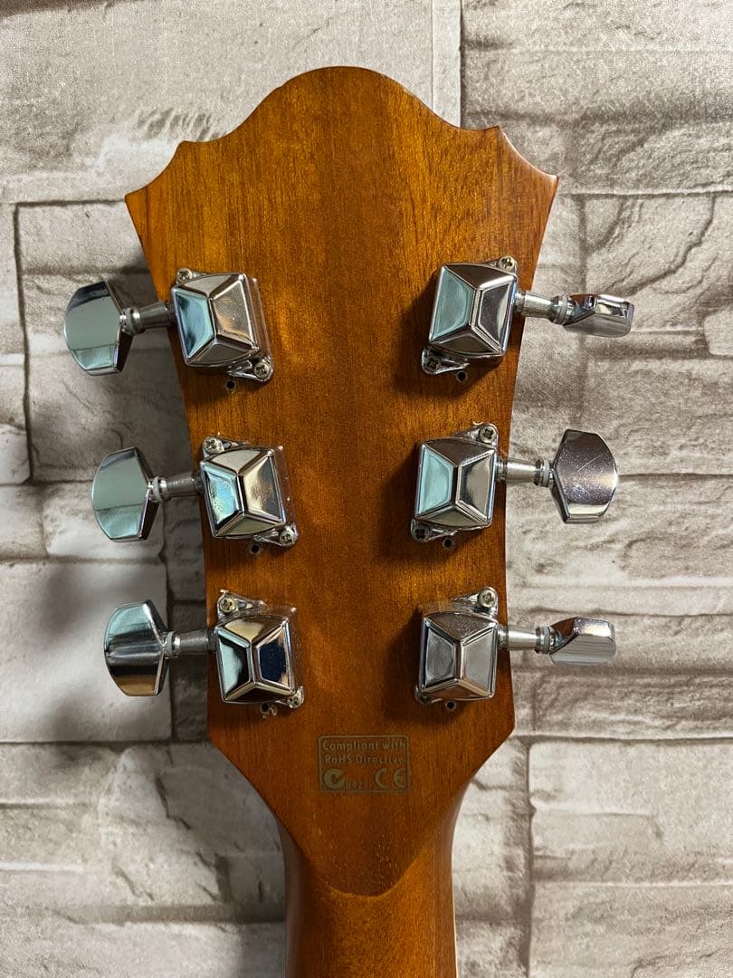 Ibanez エレアコ