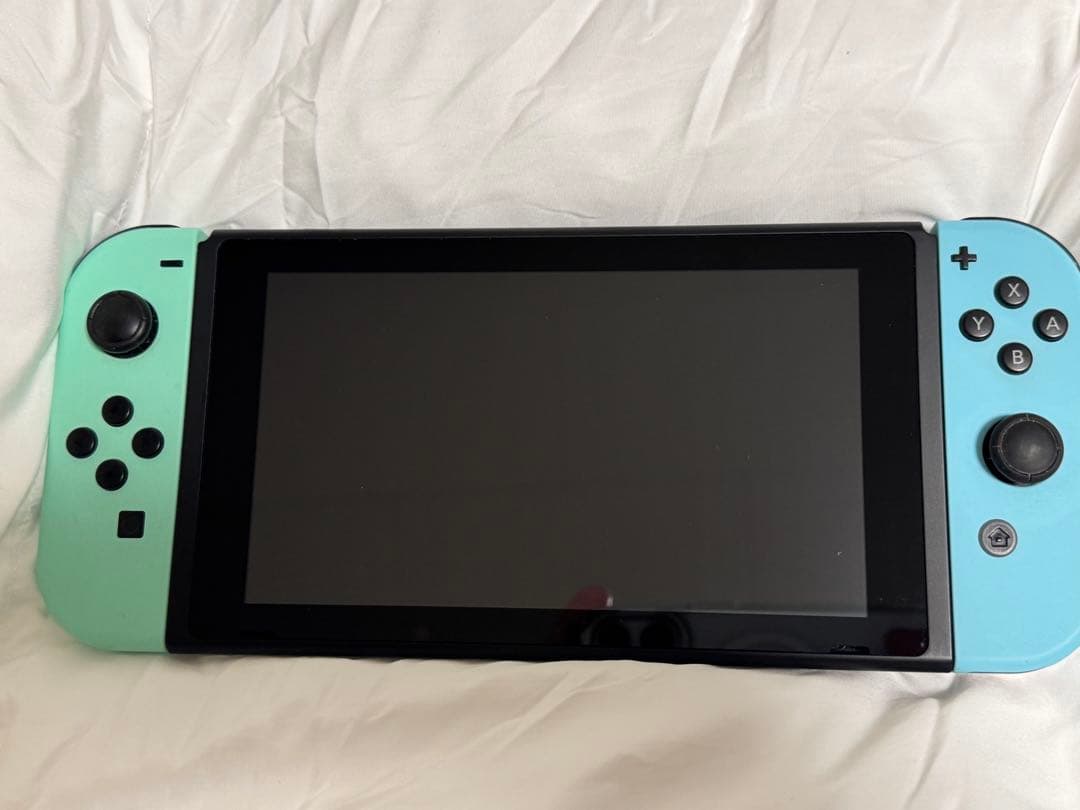a*l様 Nintendo Switch どうぶつの森ver ホワイト/ミント