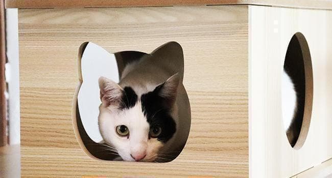 アウトレット2 キャットタワー 木製 宇宙船　展望台　多頭飼い 大型 178cm