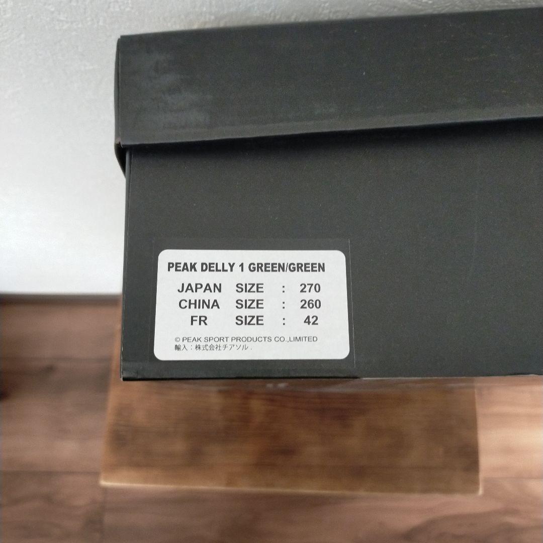 PEAK DELLY 1 ピーク　デリー1 US9 27cm