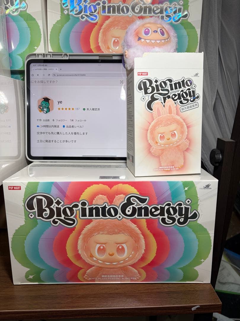未開封・正規品　ラブブ Big into Energy アソートボックス 1個