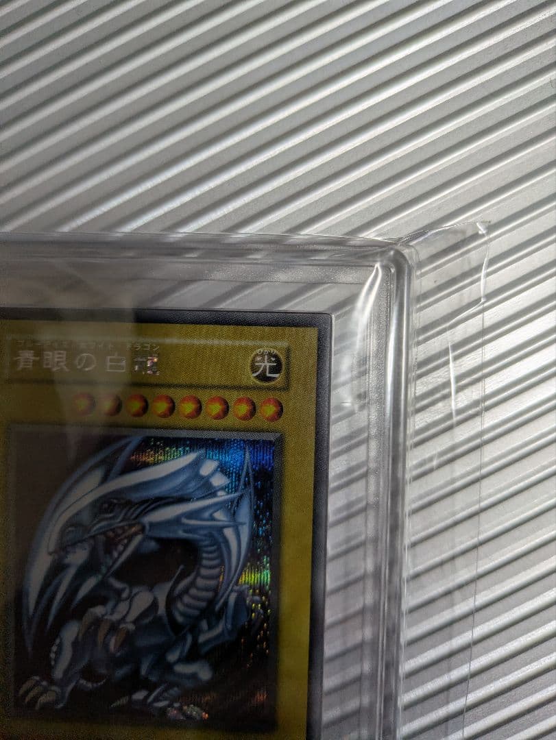 【ARS10+】 シクブル 青眼の白龍 シークレット 海馬セット 金箔鑑定書付き