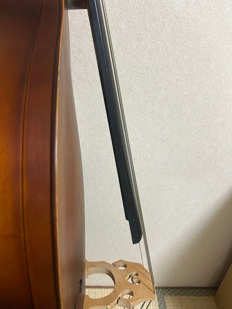 【かのん】【関西での手渡し】ハルシュタット コントラバス WBS-800