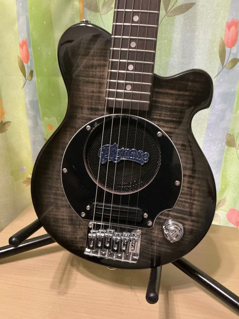 PIGNOSE PGG-200FM SBK 新品 + 新品ポット + etc.