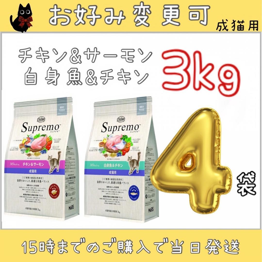 専用出品2609