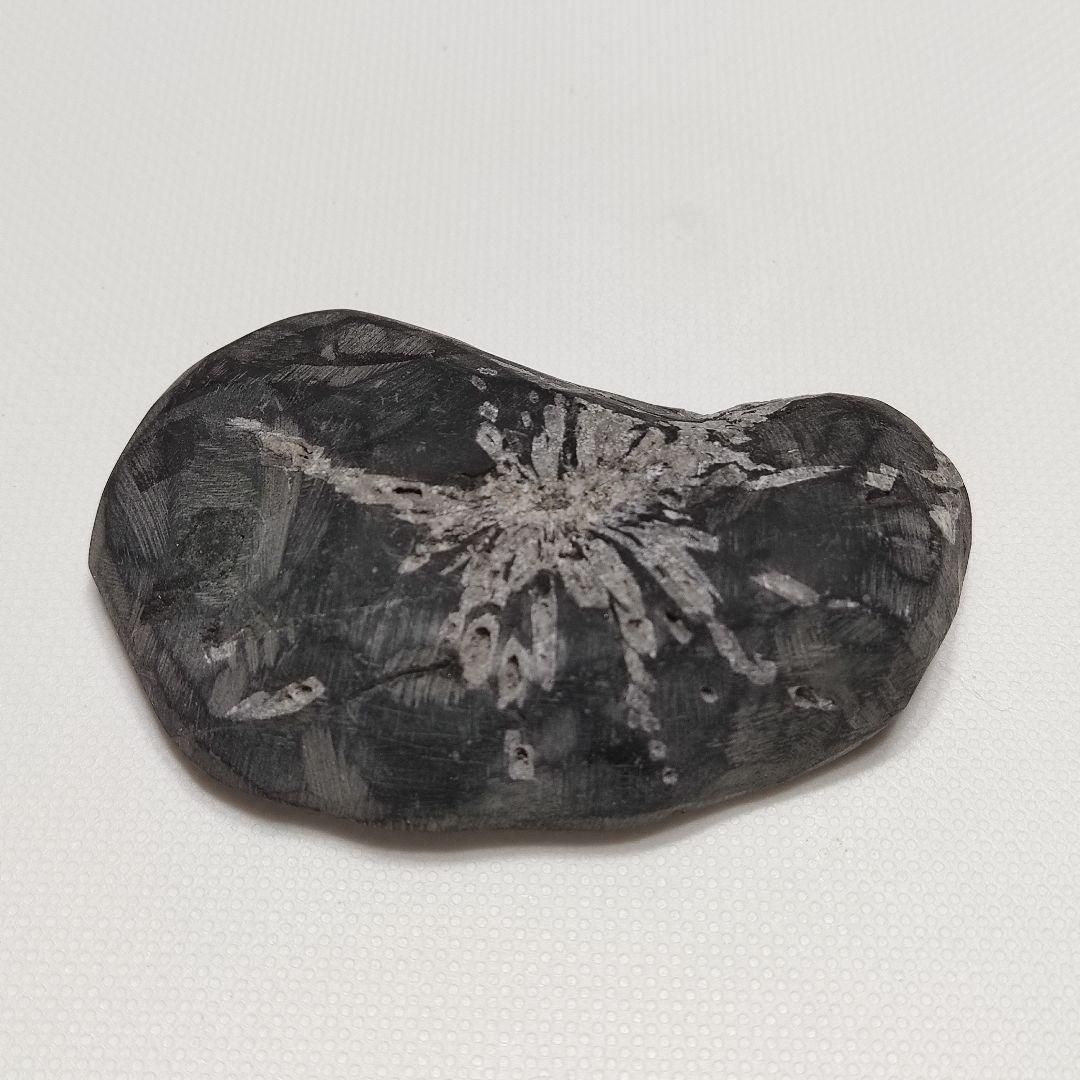 パワーストーン　天然石　菊花石　55g　No.103