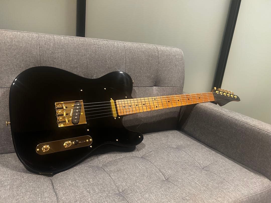 Bacchus BTE-1DX RSM MOD テレキャスター suhr