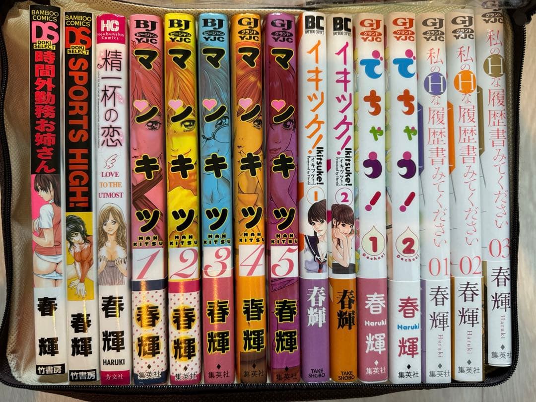 春輝　本46冊