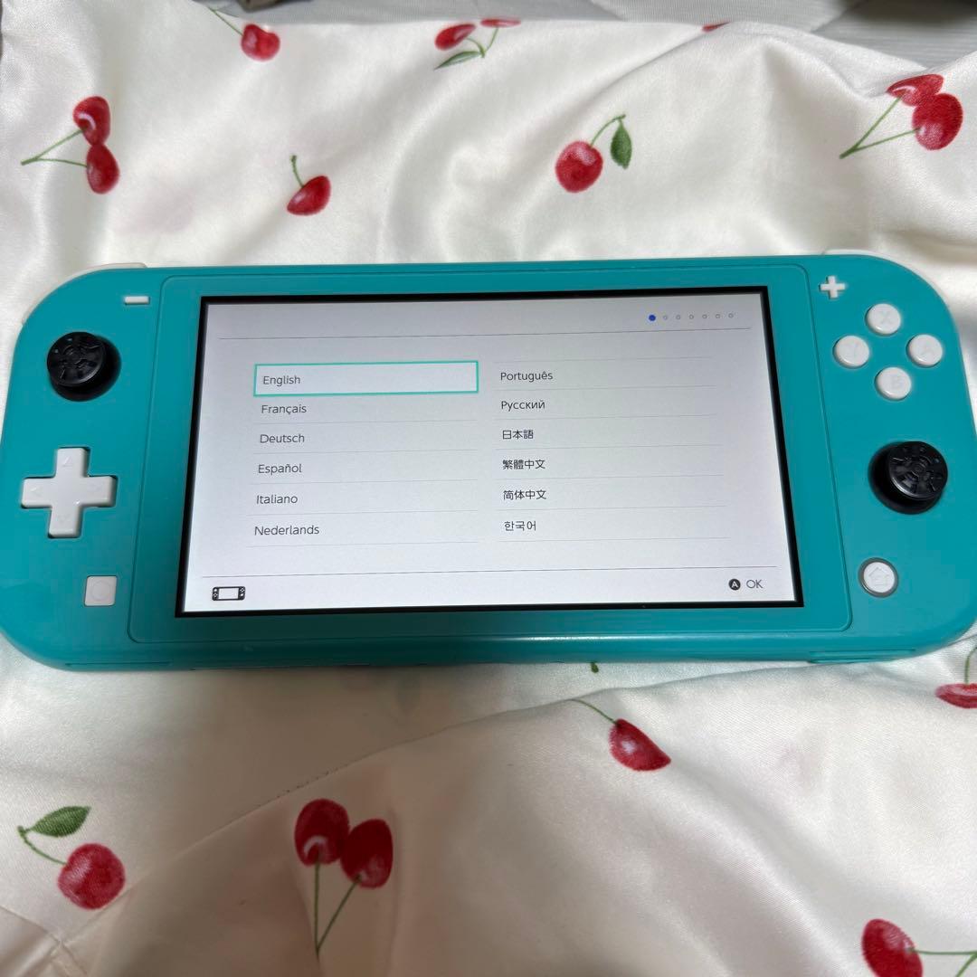Nintendo Switch Lite ターコイズ　動作確認済