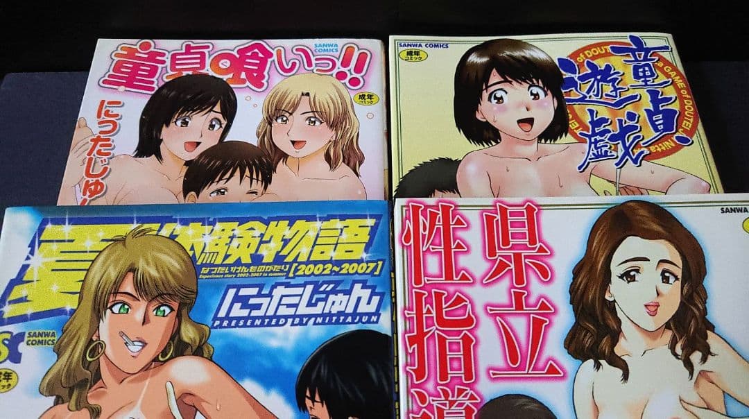 にったじゅん12冊＋他5冊 まとめセット