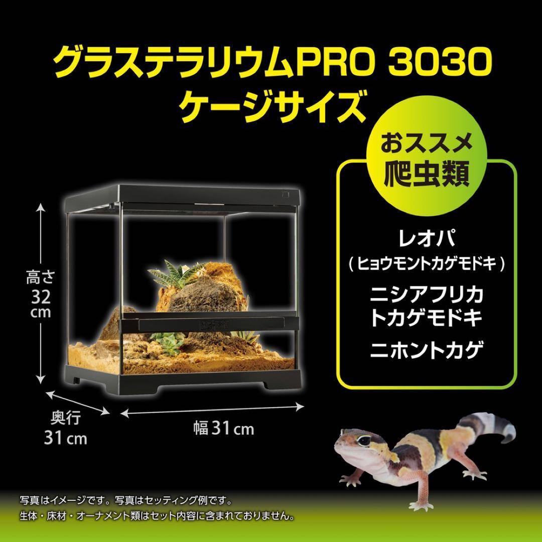 【新品】GEXグラステラリウム PRO 3030