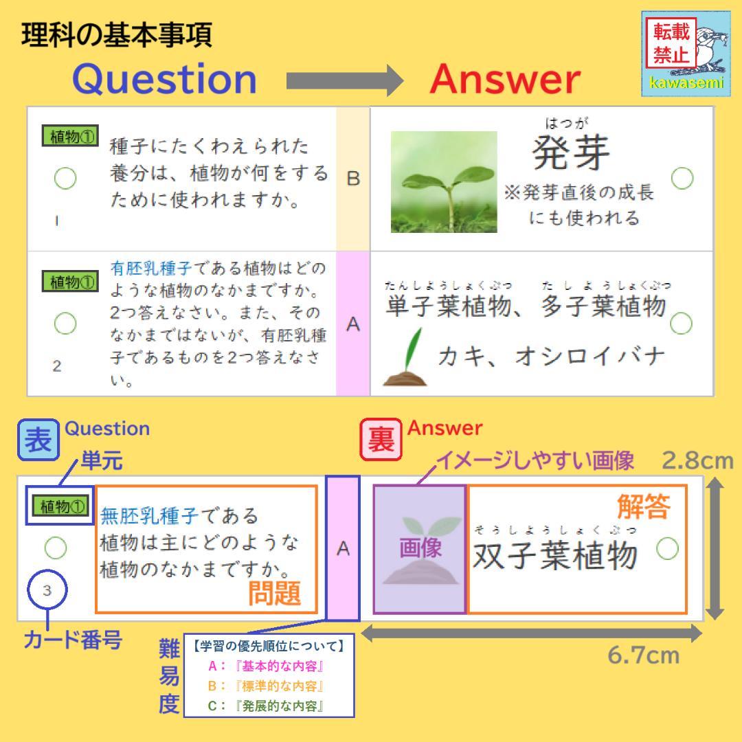 カット済 【中学受験】理科の基本事項 知識編 理科 暗記カード フルセットb