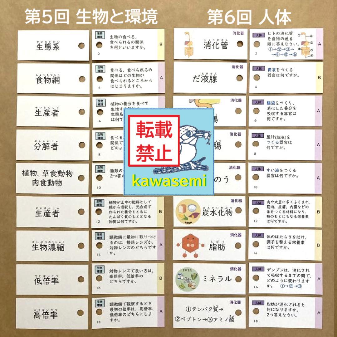 カット済 【中学受験】理科の基本事項 知識編 理科 暗記カード フルセットb