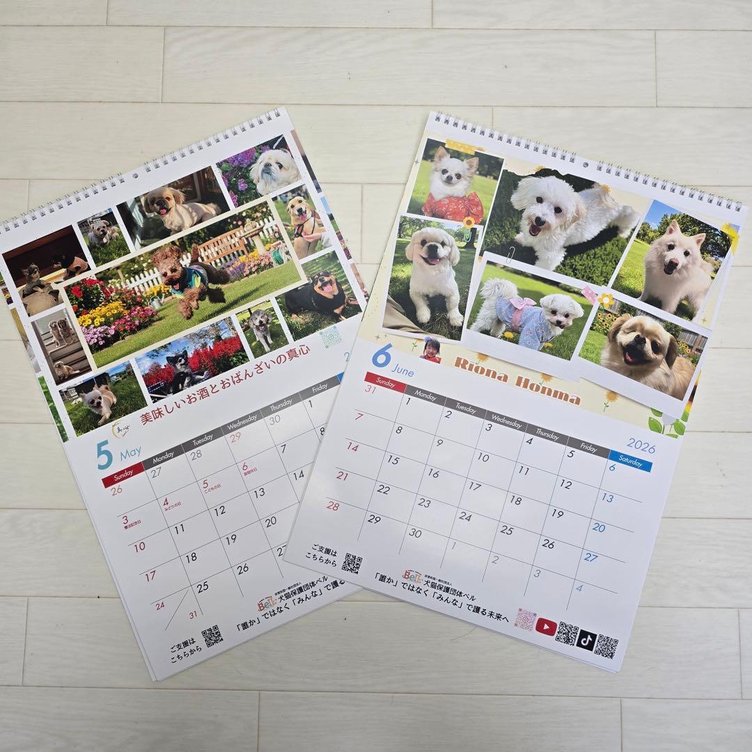 ②『犬』 壁掛けチャリティーカレンダー10枚セット