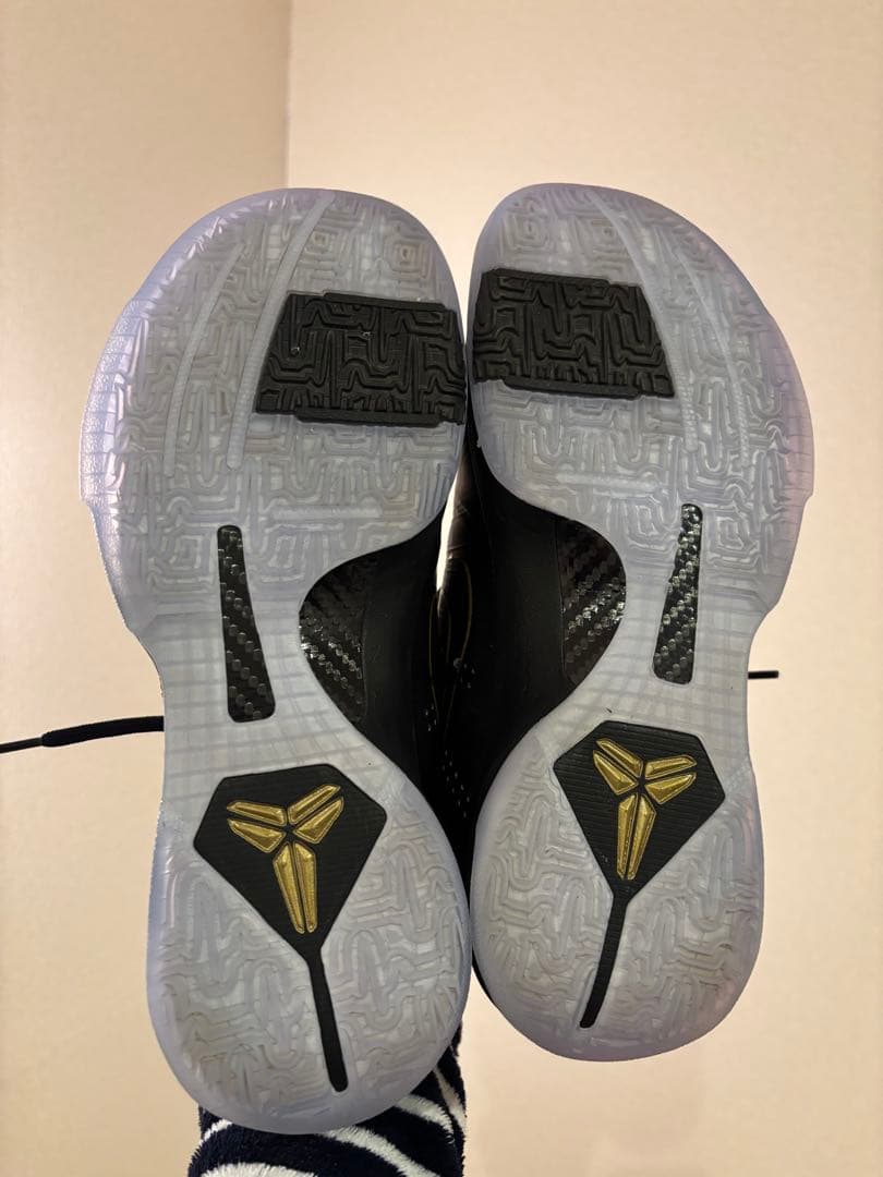 シューズ(男性用) Kobe 5 Protro Year of the Mamba/Eggplant