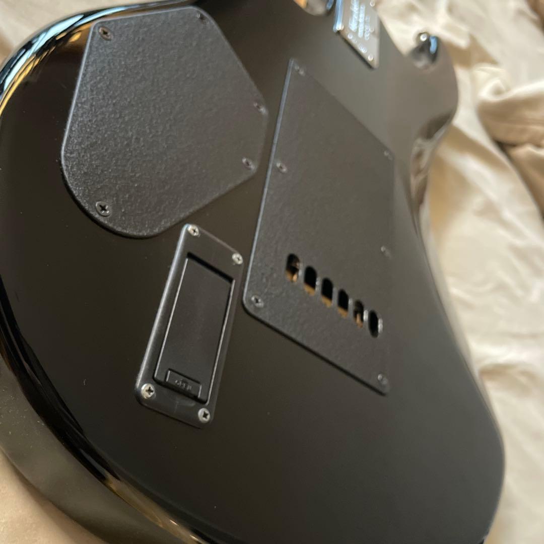MUSICMAN LUKE Ⅱ BFR QUILT