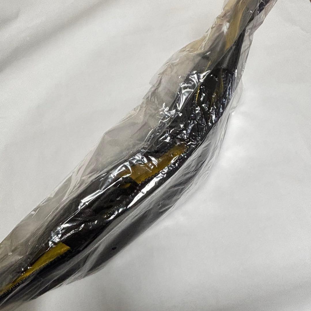 群馬クレインサンダーズ　バック
