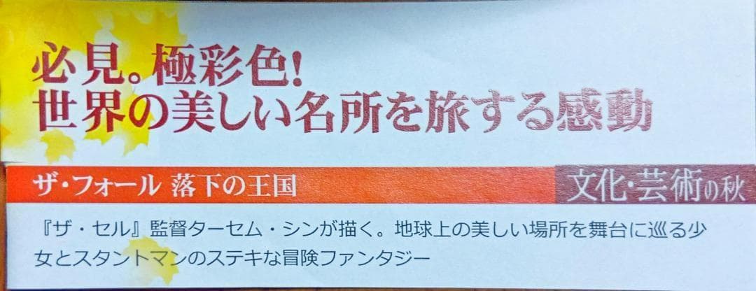n*3様 初版激レア The Fall ザ・フォール 落下の王国 日本語吹替えあ