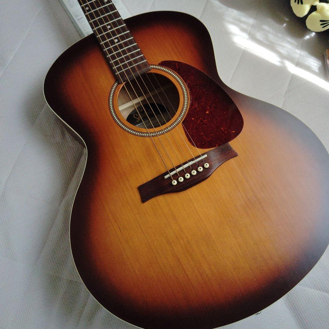 Ｓeagull（シーガル）アコースティックギター 、Mini Ｊumbo