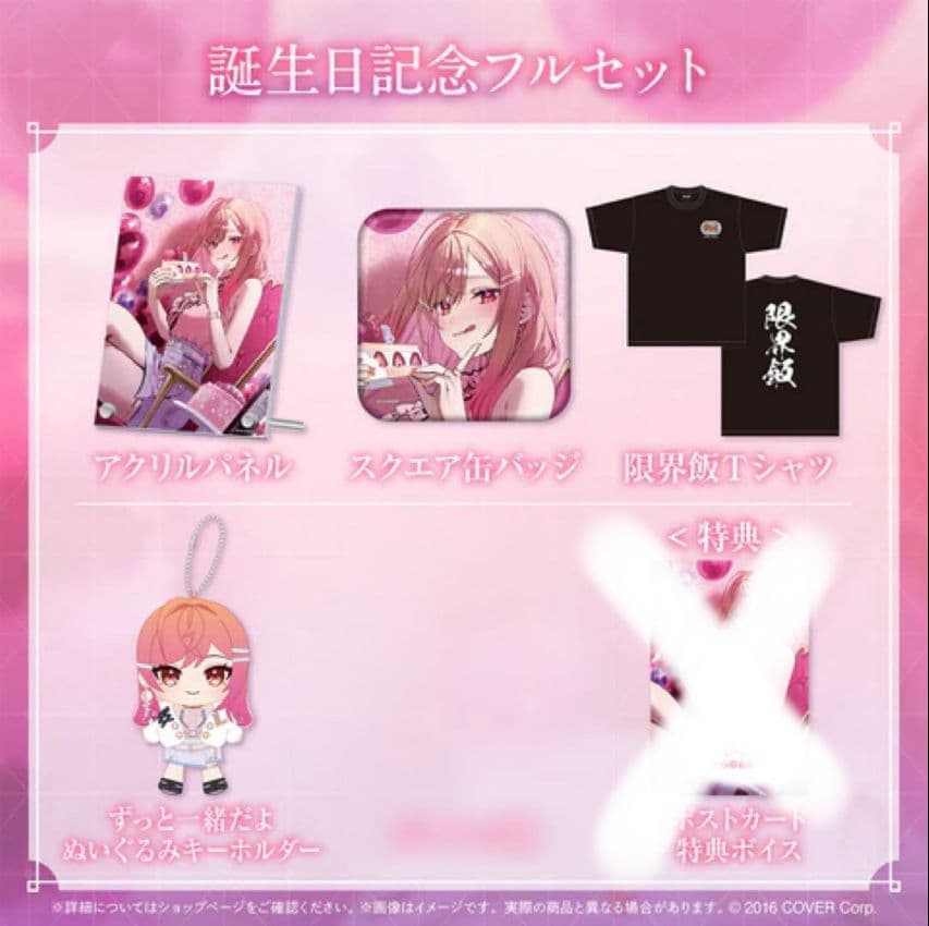 【大特価】一条莉々華誕生日グッズ フルセット(直筆サイン入りポストカード付き)